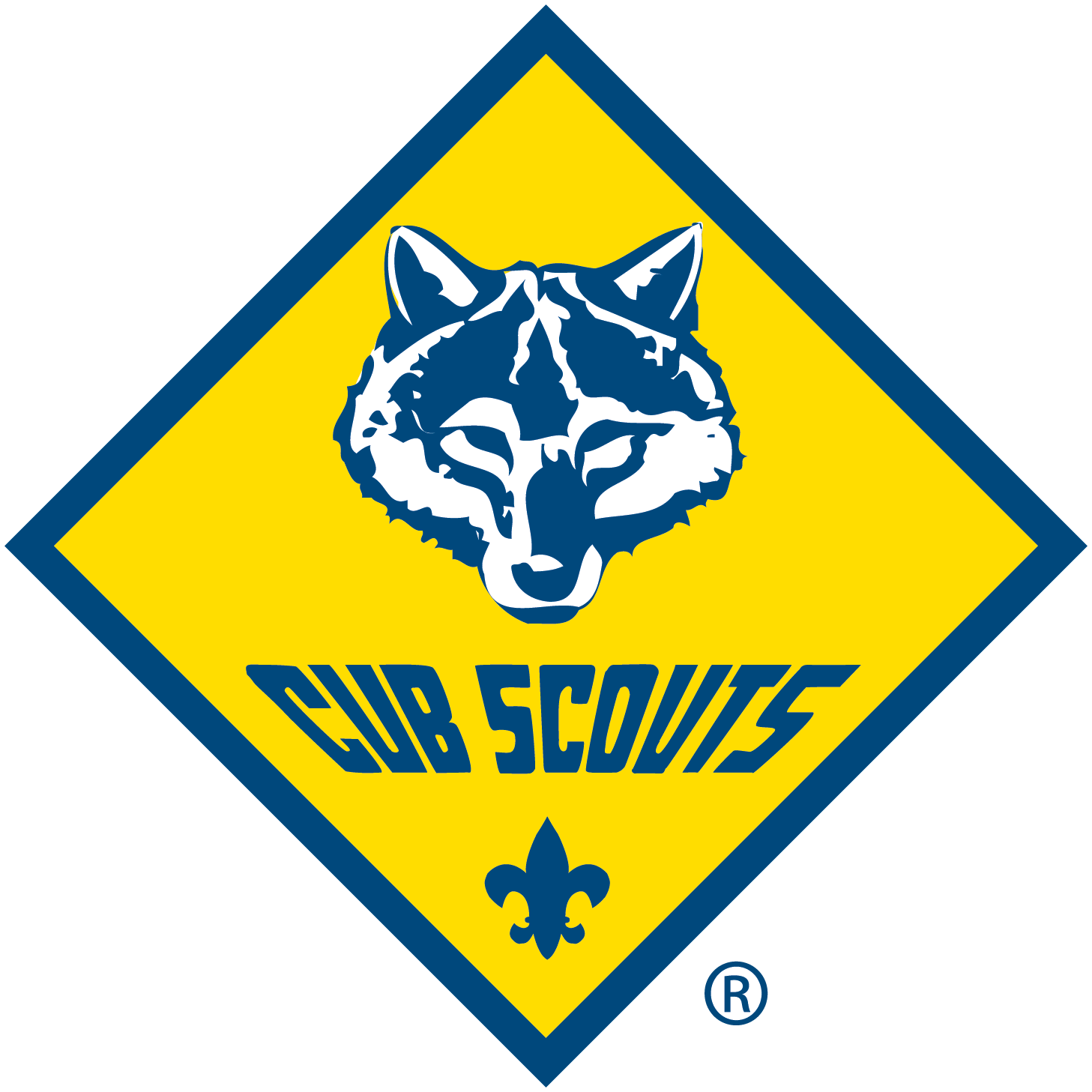 Cub Scout Pack 957